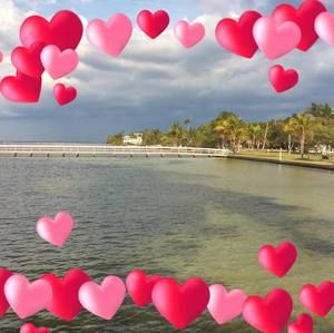 Meet your Posher, Rickie